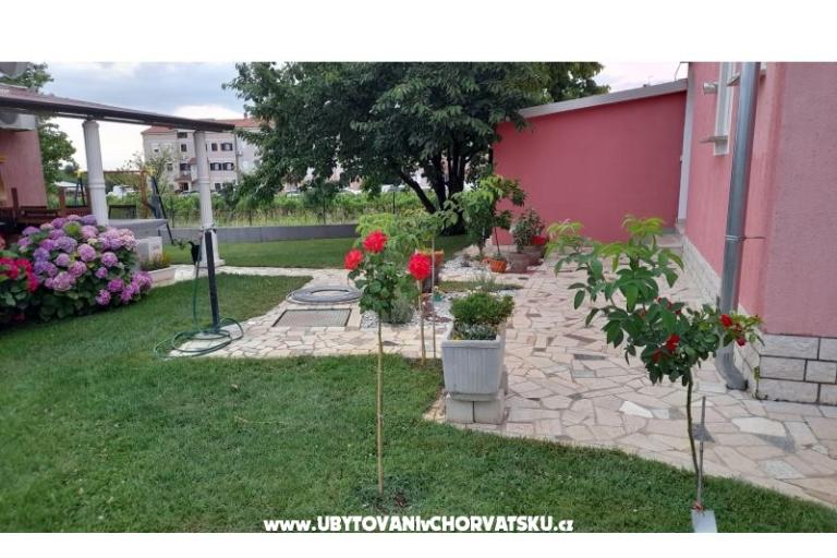 Appartamenti Dragica! – foto 4