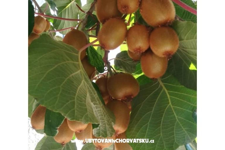 Appartamenti Lucija – foto 14