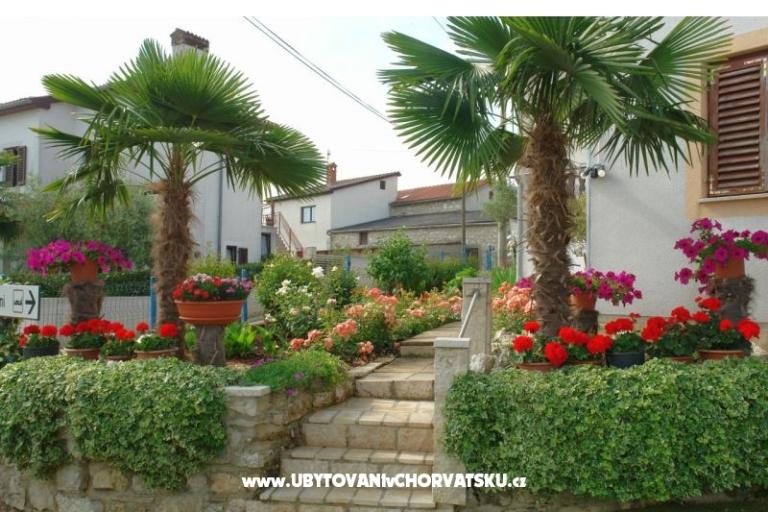 Appartamenti Milokanović – foto 4