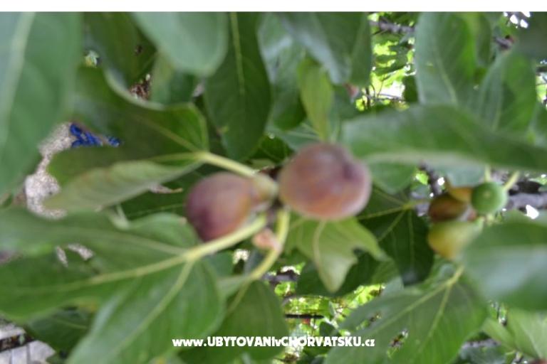 Appartamenti Lera – foto 7