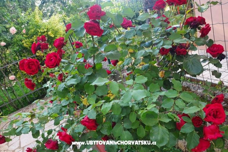 Appartamenti Kero – foto 15