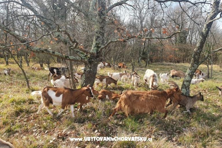 Appartamenti Kero – foto 16