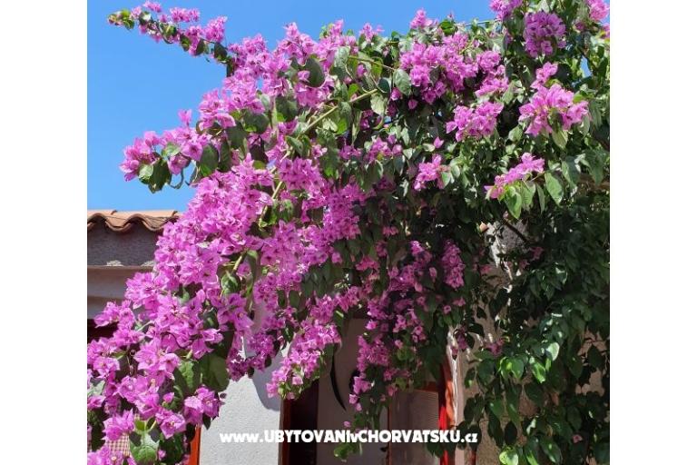 Appartamenti Kero – foto 3