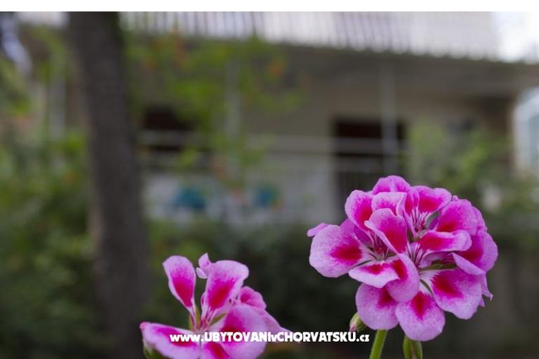 Appartamenti Porat - PRIMOŠTEN – foto 2
