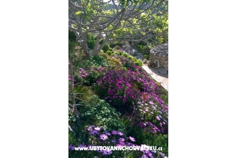 Appartamenti   Luka – foto 10