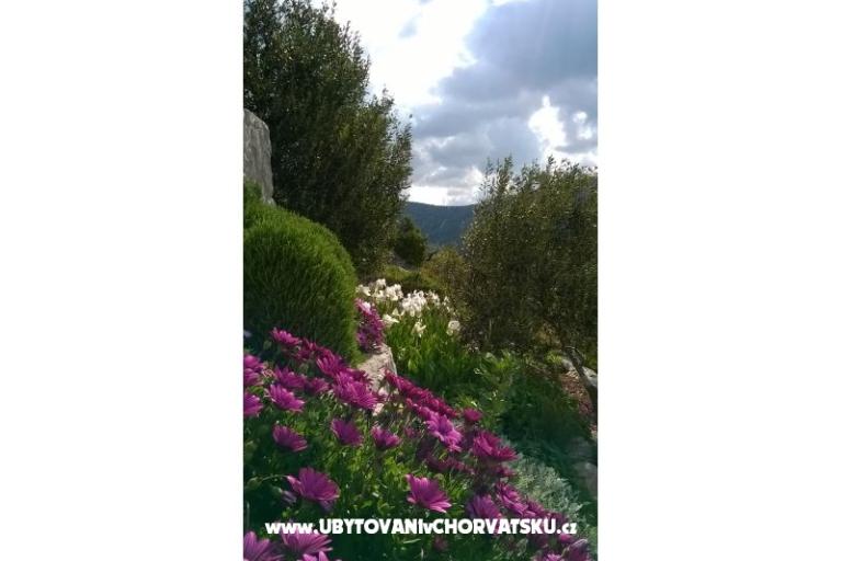 Appartamenti   Luka – foto 11