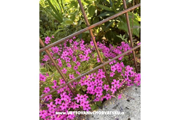 Appartamenti Šarin – foto 19