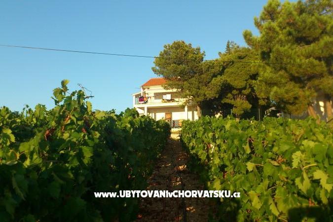Appartamenti vila Diana – foto 8