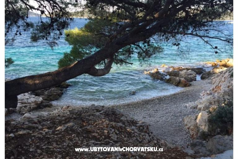 Appartamenti Zorka Primošten – foto 14
