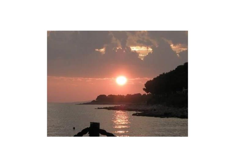 Appartamenti Zvone - Primošten – foto 11