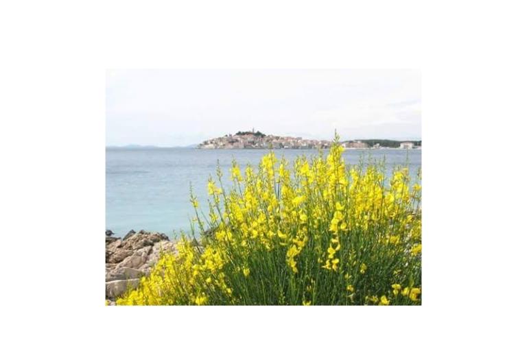 Appartamenti Zvone - Primošten – foto 12