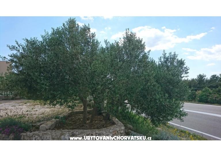 Appartamenti Kocka  – foto 10