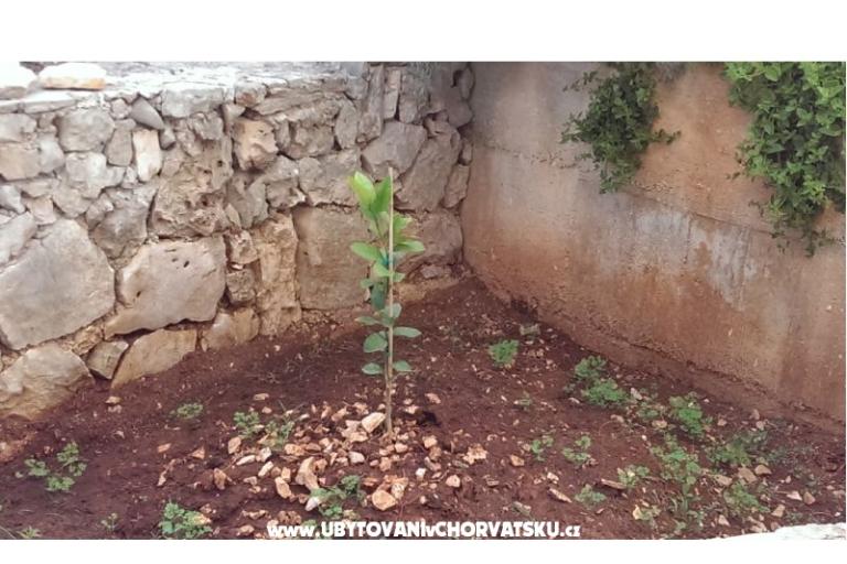 Primosten Appartamenti Rest place – foto 6