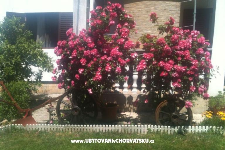 Appartamento Luka – foto 15