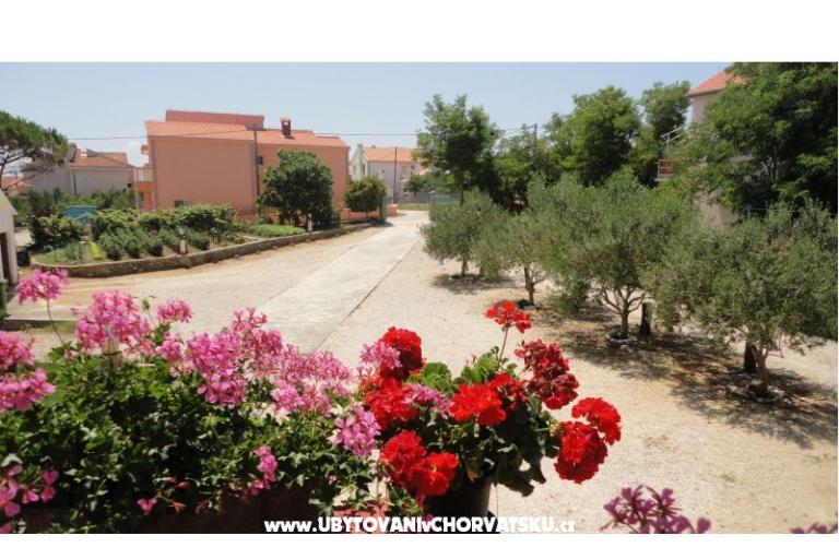 Appartamenti Ankica – foto 9