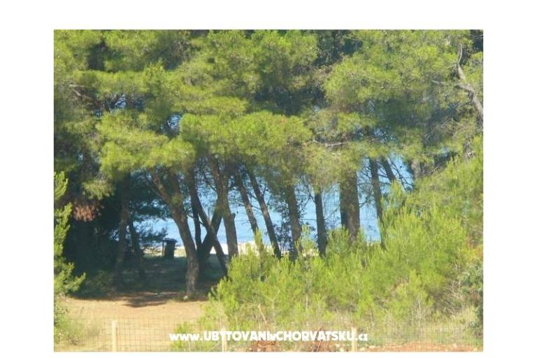 Appartamenti Dora – foto 4
