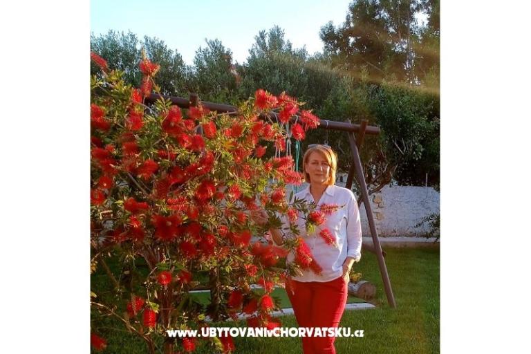 Appartamenti Lantana – foto 16