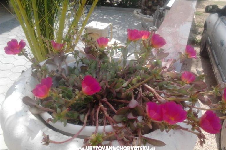 Appartamenti Tiffany – foto 8