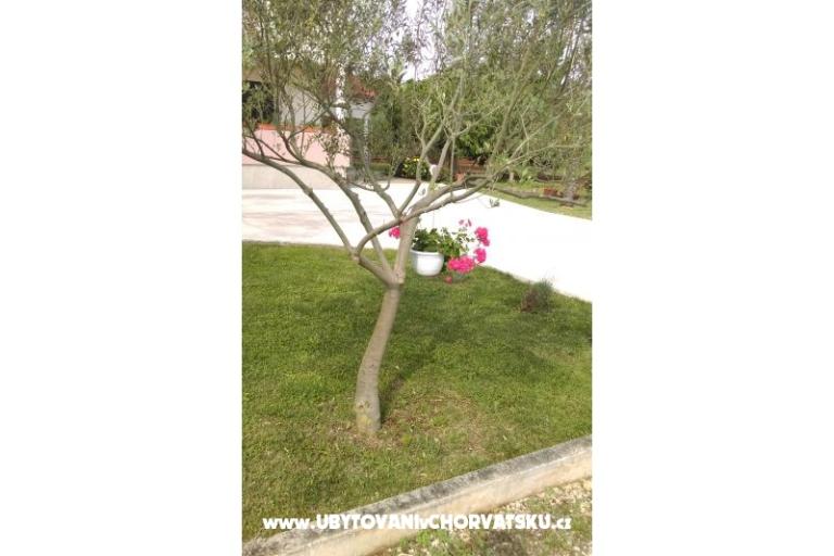 Appartamenti Tomi – foto 9