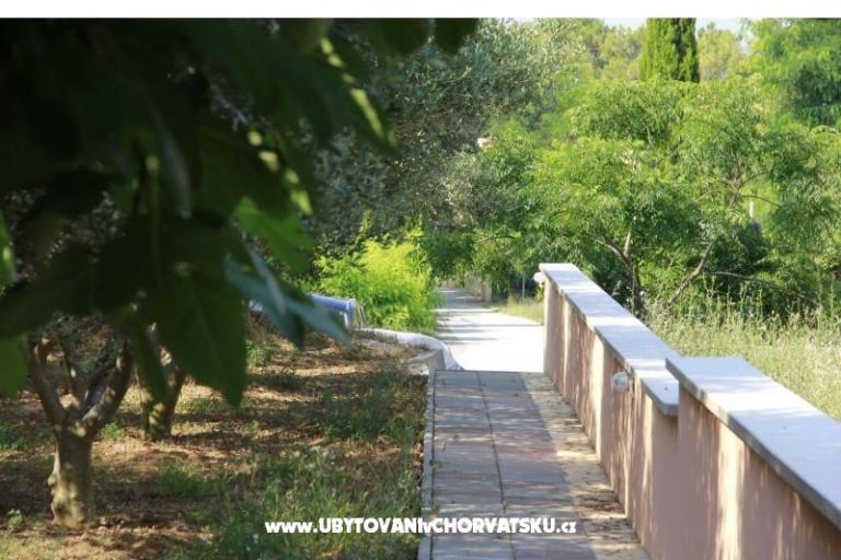 Appartamenti Toni – foto 17