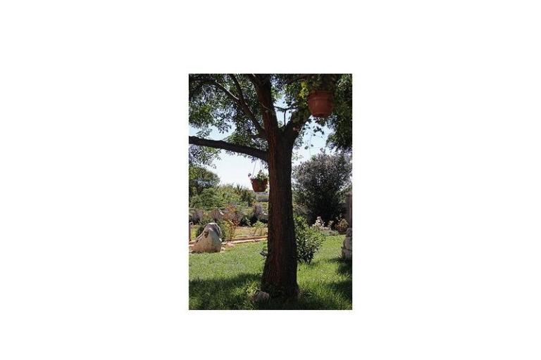 Appartamenti Barbara – foto 15