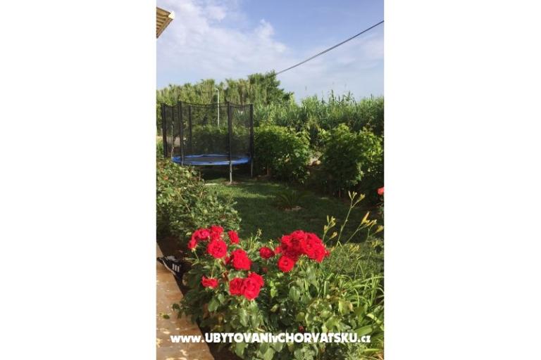 Appartamenti Lolo – foto 18