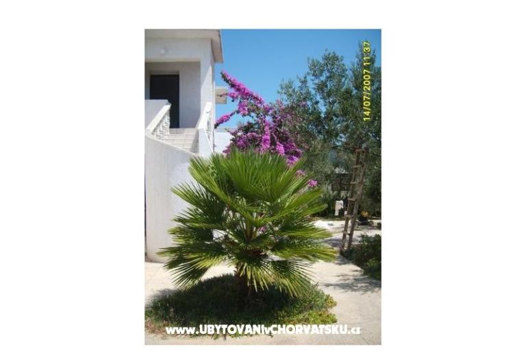 Appartamenti Šime – foto 5