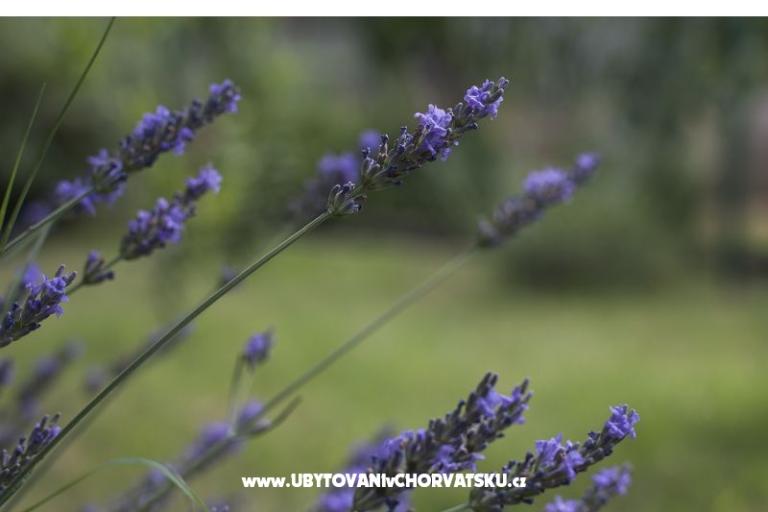 Appartamento Lu&Li – foto 18