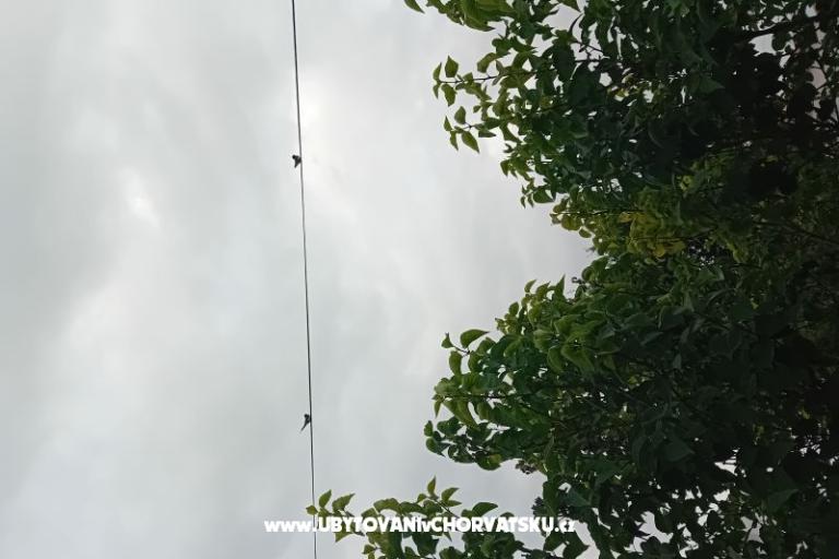 Appartamento Križan – foto 19