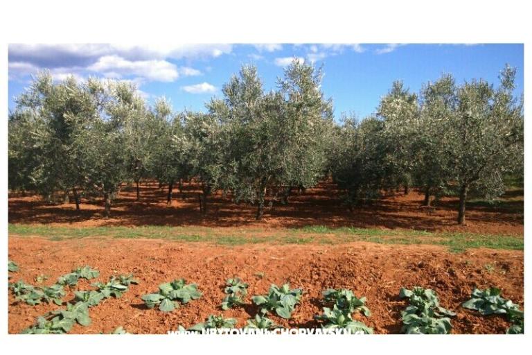 Appartamento Maki – foto 8