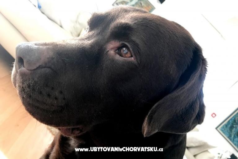 Appartamento Mika – foto 18