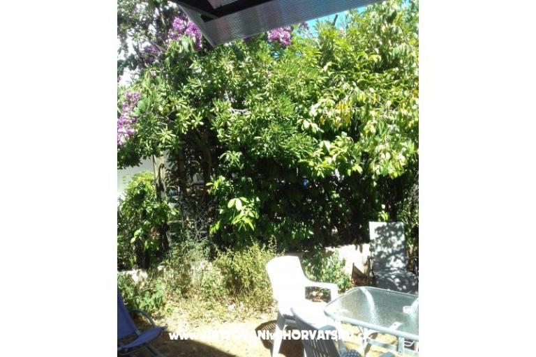 Appartamento Zora Pula – foto 21