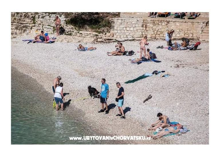 Appartamento Zora Pula – foto 46