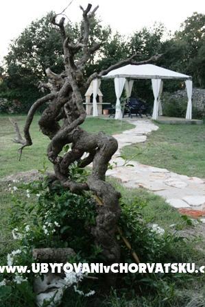 Appartamenti Brioni – foto 8