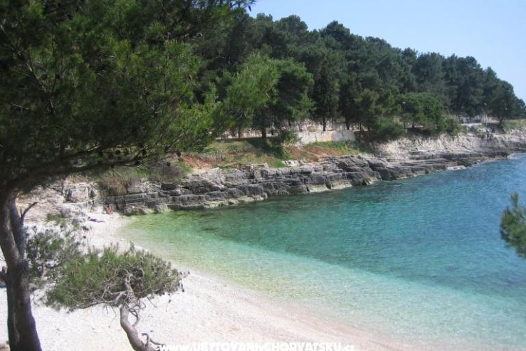 Appartamenti Grbin – foto 13