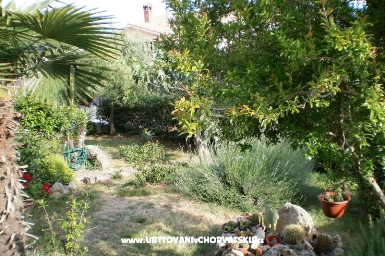 Appartamenti Marco – foto 7