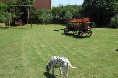 Appartamenti Smiljevac – foto 11