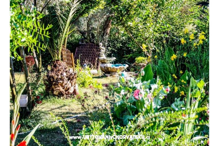 Appartamento pool Slivar – foto 11