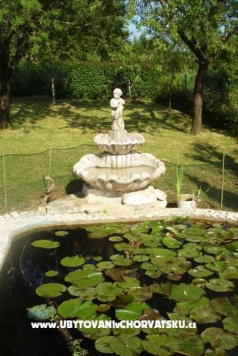 Appartamento pool Slivar – foto 8