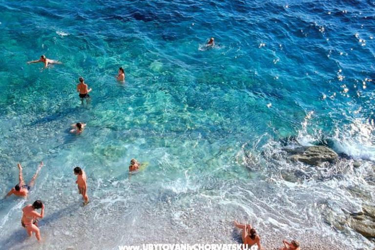 Appartamenti con piscina Jadranka – foto 10