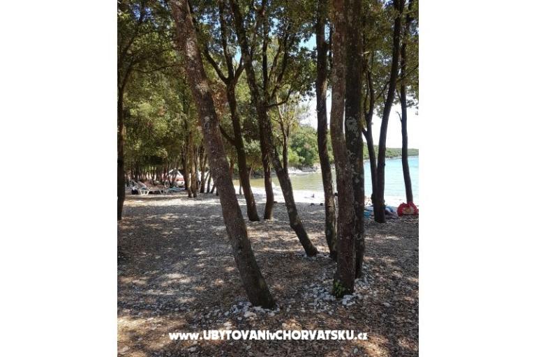 Appartamenti Duga Uvala – foto 15
