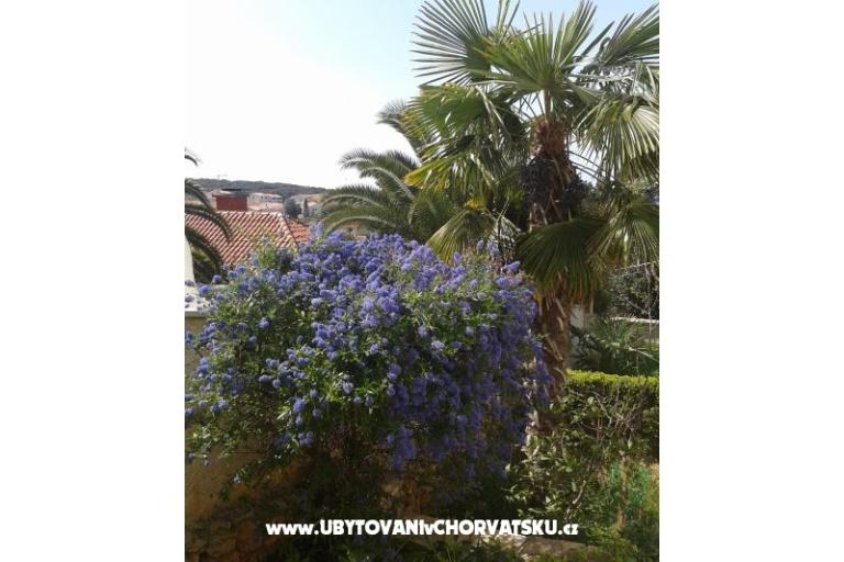 Appartamenti Ivana – foto 14