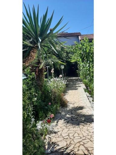 Appartamenti Alida Stinjan – foto 21