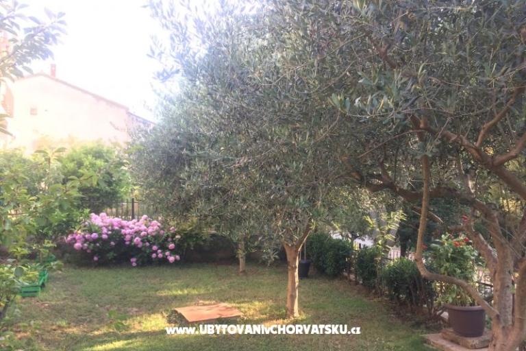 Appartamenti Tea – foto 12