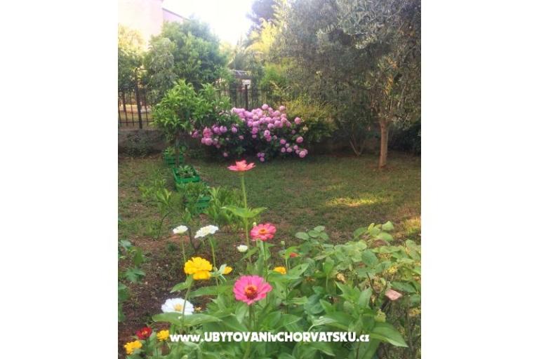 Appartamenti Tea – foto 13