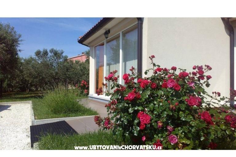 Case vacanza Brcina – foto 7