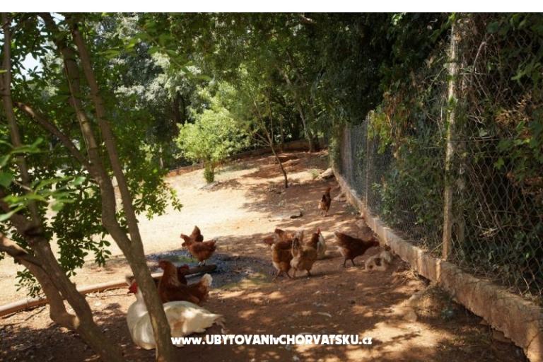 Casa Corina – foto 18