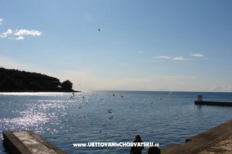 Appartamento Petra – foto 11