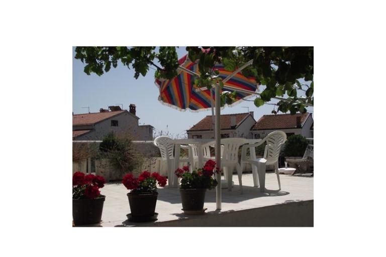 Tara – foto 3