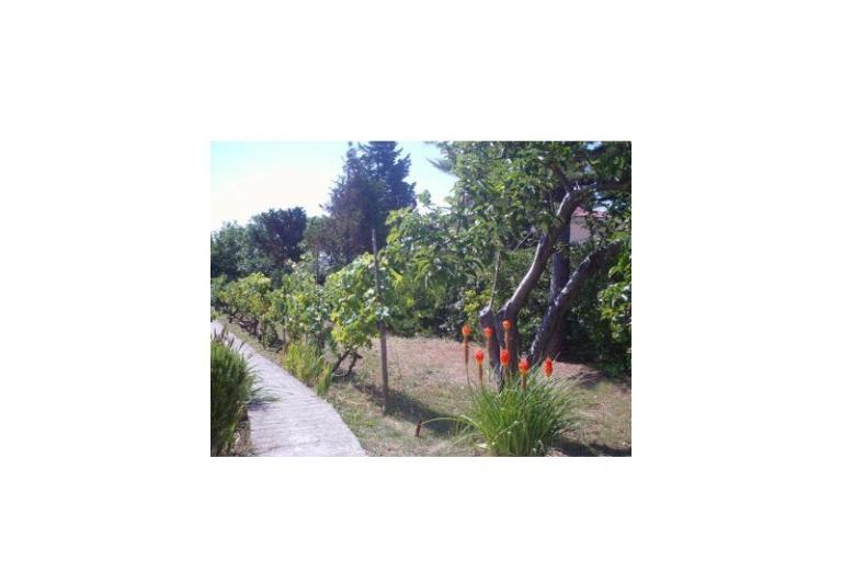 Appartamenti Ankica – foto 15